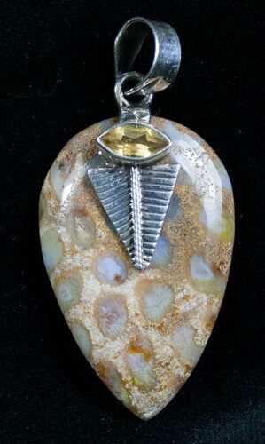 Beautiful Fossil Coral Pendant #7715